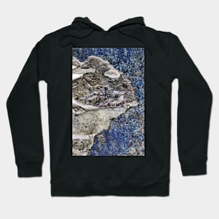 See what you will (texture photography) Hoodie